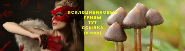 эйфоретик Алексин