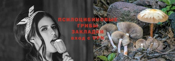 эйфоретик Алексин