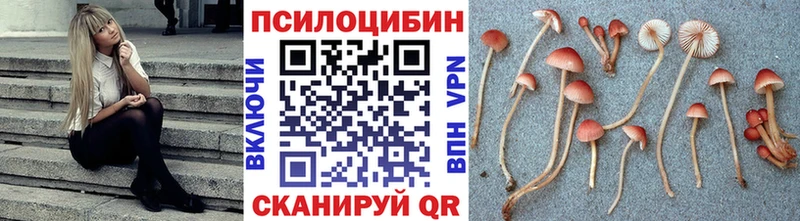даркнет сайт  Пущино  Псилоцибиновые грибы Cubensis 